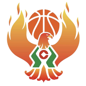 https://img.bfty.com.cn/img/basketball/team/09b49d34027e0409a4de3295f8c71a2d.png