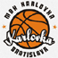 https://img.bfty.com.cn/img/basketball/team/0c2f73d2ab7041cf90029a20deff7f17.gif