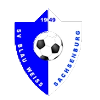 https://img.bfty.com.cn/img/football/team/1cde488d47b598d2eed91775e6786258.png